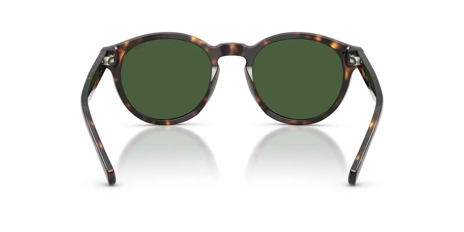 Polo 4192 Sunglasses - view 50